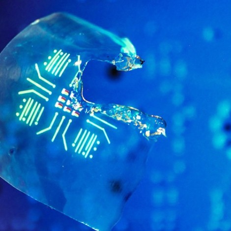luminescent_polymer_photo_900_500.jpg