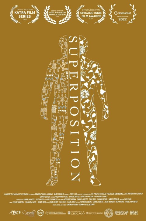Superposition Poster