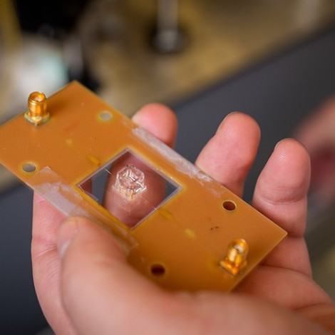 New biosensor solves old quantum riddle